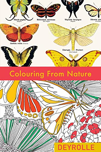 Beispielbild fr Colouring from Nature zum Verkauf von WorldofBooks