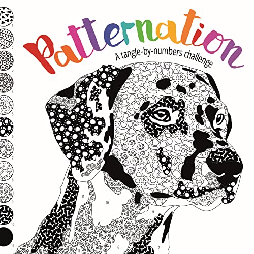 Stock image for Patternation: A Tangle-By-Numbers Challenge for sale by WorldofBooks