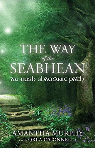 Imagen de archivo de The Way of the Seabhean: An Irish Shamanic Path a la venta por GreatBookPrices