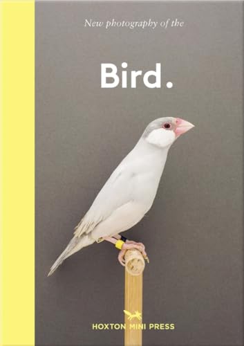 Stock image for Bird.: The best new photography of birds (Wellness & Green Living) for sale by WorldofBooks