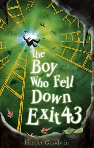 Stock image for The Boy Who Fell Down Exit 43 for sale by AwesomeBooks
