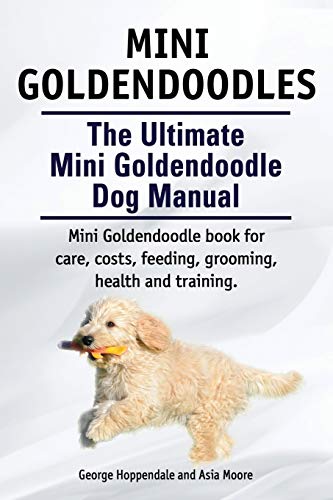 Stock image for Mini Goldendoodles. The Ultimate Mini Goldendoodle Dog Manual. Miniature Goldendoodle book for care, costs, feeding, grooming, health and training. for sale by ThriftBooks-Atlanta