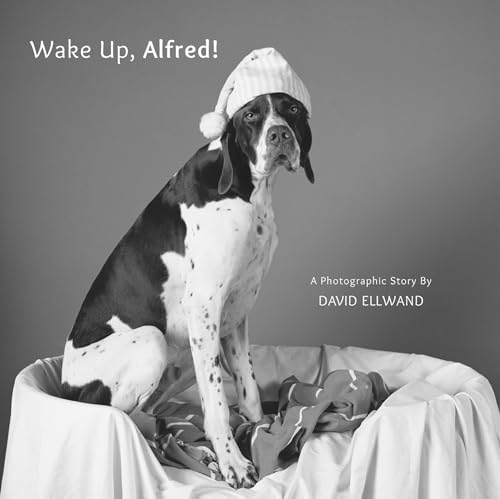 Stock image for Wake Up, Alfred!: A Photographic Story for sale by WorldofBooks