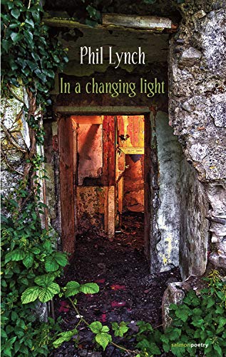 Imagen de archivo de In a Changing Light a la venta por Better World Books