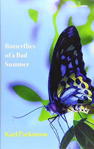 Beispielbild fr Butterflies of a Bad Summer (Salmon Poetry) zum Verkauf von Tall Stories BA