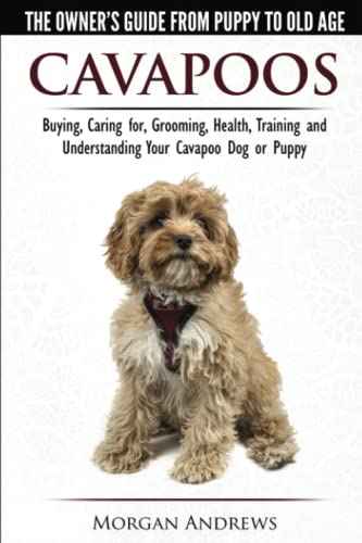 Beispielbild fr Cavapoos - The Owner's Guide From Puppy To Old Age - Buying, Caring for, Grooming, Health, Training and Understanding Your Cavapoo Dog or Puppy zum Verkauf von SecondSale