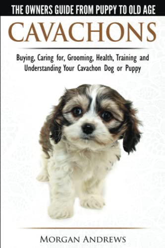 Stock image for Cavachons - The Owner's Guide from Puppy to Old Age - Choosing, Caring for, Grooming, Health, Training and Understanding Your Cavachon Dog or Puppy for sale by Books for Life