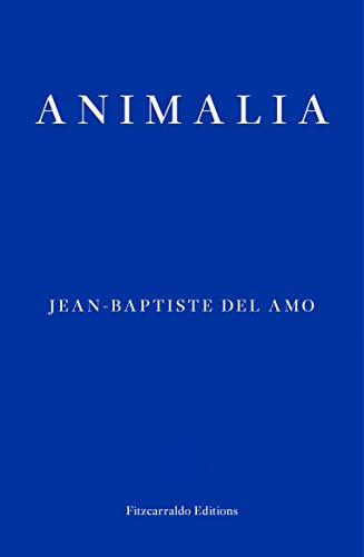 Beispielbild fr Animalia zum Verkauf von WorldofBooks