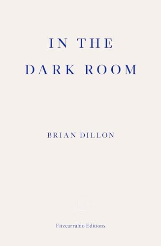 Beispielbild fr In the Dark Room zum Verkauf von Better World Books