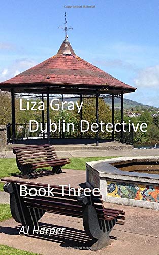 Stock image for Liza Gray - Dublin Detective Book Three for sale by Revaluation Books