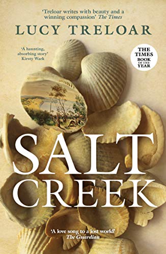 Stock image for Salt Creek for sale by WorldofBooks