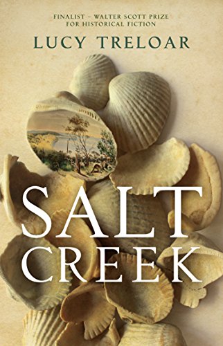 Imagen de archivo de Salt Creek a la venta por WorldofBooks