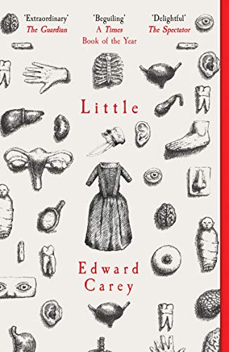 9781910709535: Little: A Times and Sunday Times Book of the Year