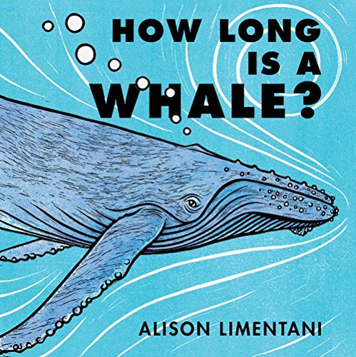 Beispielbild fr How Long Is a Whale? zum Verkauf von Better World Books