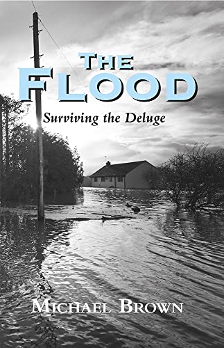 Stock image for The Flood: Surviving the Deluge for sale by Books From California