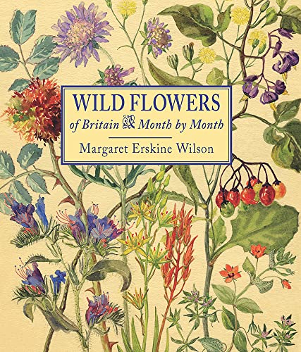 Beispielbild fr Wild Flowers of Britain zum Verkauf von Blackwell's