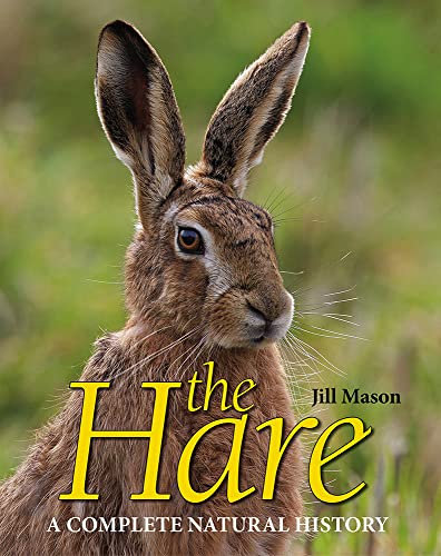 Imagen de archivo de The Hare: A complete natural history a la venta por WorldofBooks
