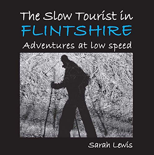 Beispielbild fr Slow Tourist in Flintshire: Adventures at low speed zum Verkauf von WorldofBooks