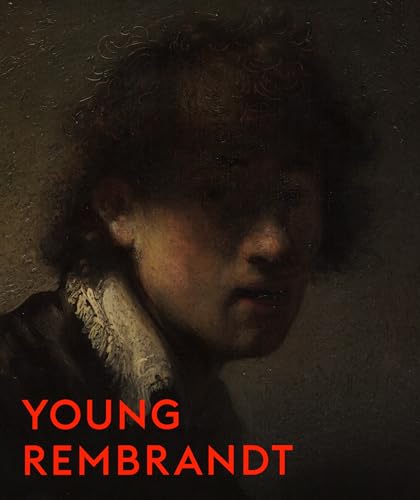 Stock image for Young Rembrandt for sale by AwesomeBooks