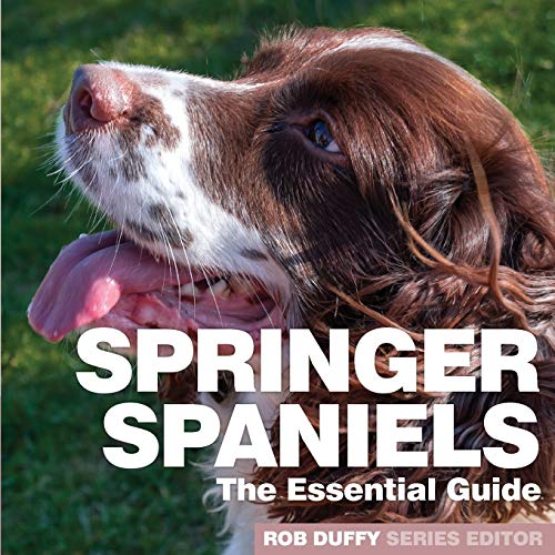 Stock image for Springer Spaniels: The Essential Guide for sale by WorldofBooks