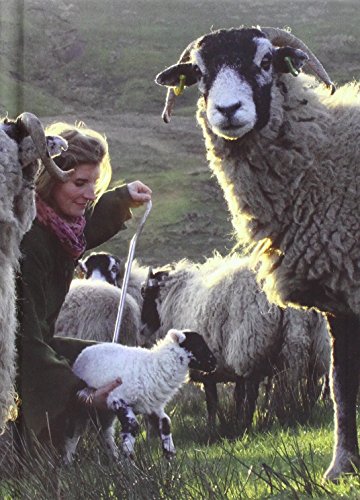 Beispielbild fr The Yorkshire Shepherdess Notebook zum Verkauf von WorldofBooks