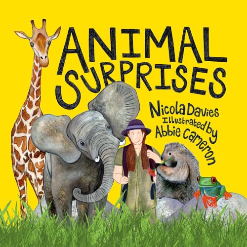 Beispielbild fr Animal Surprises zum Verkauf von Better World Books