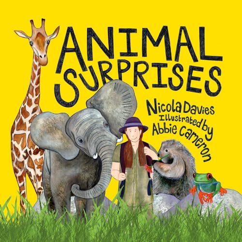 Stock image for Animal Surprises for sale by Better World Books