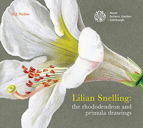 Stock image for Lillian Snelling: The Rhododendron and Primula Drawings for sale by WorldofBooks