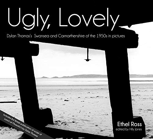 Stock image for Ugly, Lovely for sale by Blackwell's