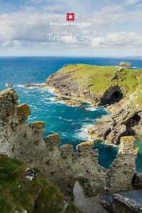 Stock image for Tintagel Castle (English Heritage Red Guides) for sale by AwesomeBooks