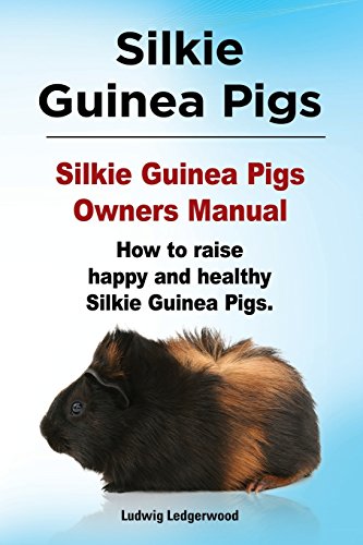 Stock image for Silkie Guinea Pigs. Silkie Guinea Pigs Owners Manual. How to raise happy and healthy Silkie Guinea Pigs. for sale by Lucky's Textbooks