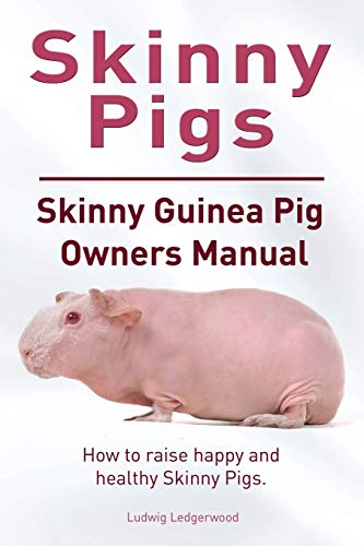 9781910941607: Skinny Pig. Skinny Guinea Pigs Owners Manual. How to raise happy and healthy Skinny Pigs.