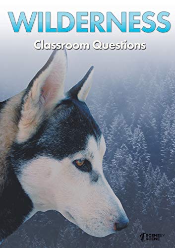 Stock image for Wilderness Classroom Questions for sale by Lucky's Textbooks