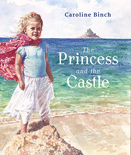 Imagen de archivo de The Princess and the Castle a la venta por WorldofBooks