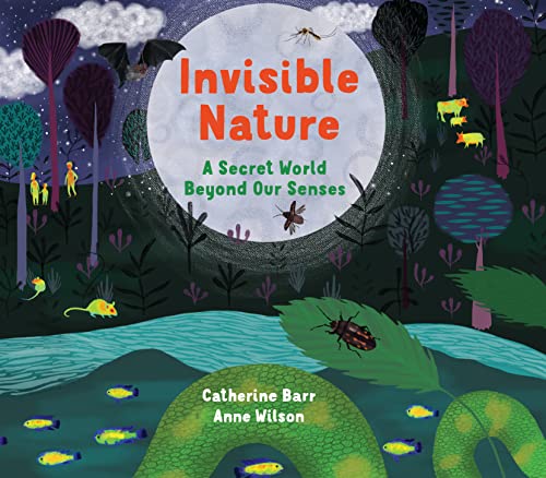 Beispielbild fr Invisible Nature: A Secret World Beyond our Senses zum Verkauf von AwesomeBooks