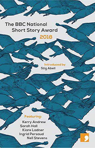 Stock image for The BBC National Short Story Award 2018: 13 for sale by AwesomeBooks