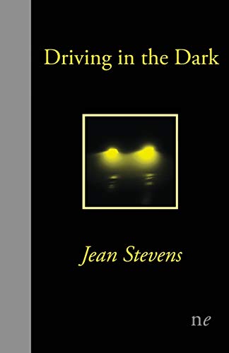 Beispielbild fr Driving in the Dark zum Verkauf von WorldofBooks