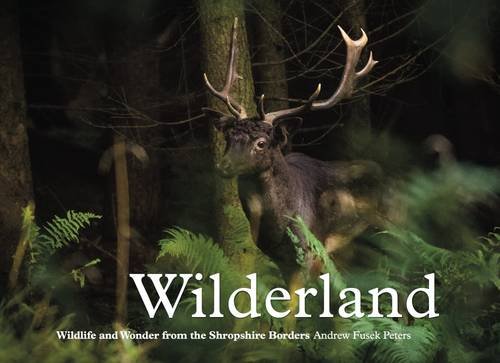 9781911048039: Wilderland, Wildlife and Wonder from the Shropshire Borders