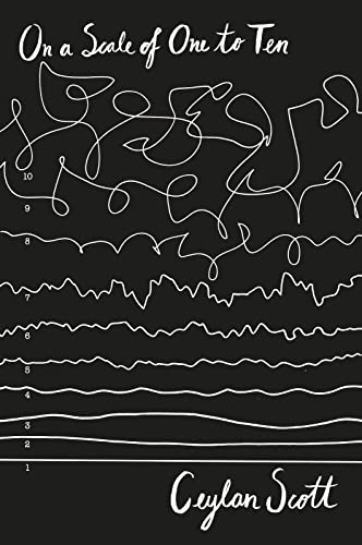 Beispielbild fr On A Scale Of 1 To 10 zum Verkauf von SecondSale