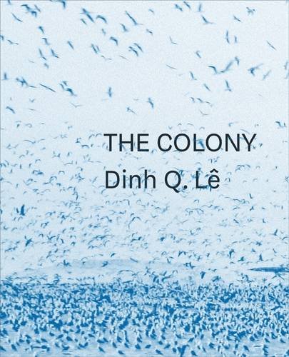 Beispielbild fr Dinh Q. Le the Colony zum Verkauf von GreatBookPrices