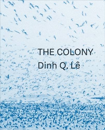 Stock image for Dinh Q. Le the Colony for sale by GreatBookPrices