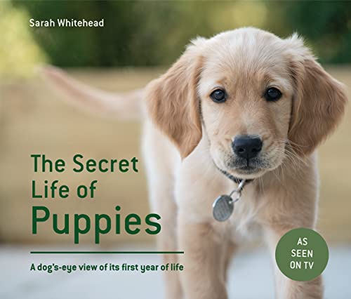Beispielbild fr The Secret Life of Puppies: A dog's-eye view of its first year of life zum Verkauf von Books From California