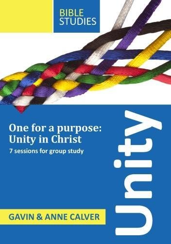 Beispielbild fr Unity Workbook zum Verkauf von WorldofBooks
