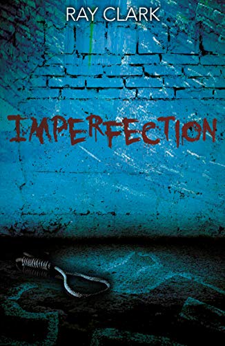 Stock image for Imperfection (Gardener and Reilly series) for sale by Reuseabook
