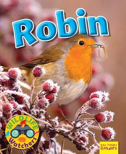9781911341178: Wildlife Watchers: Robin (Ruby Tuesday Readers)
