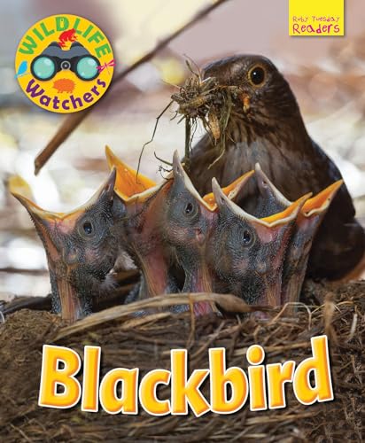 Beispielbild fr Wildlife Watchers: Blackbird 2017 (Ruby Tuesday Readers) zum Verkauf von WorldofBooks