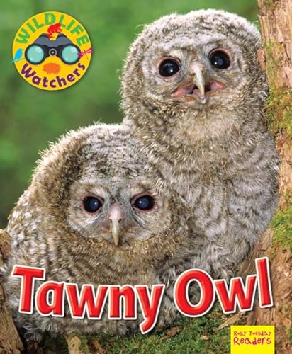 Beispielbild fr Wildlife Watchers: Tawny Owl 2017 (Ruby Tuesday Readers) zum Verkauf von WorldofBooks