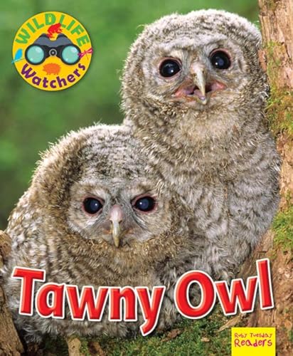 9781911341208: Wildlife Watchers: Tawny Owl (Ruby Tuesday Readers)