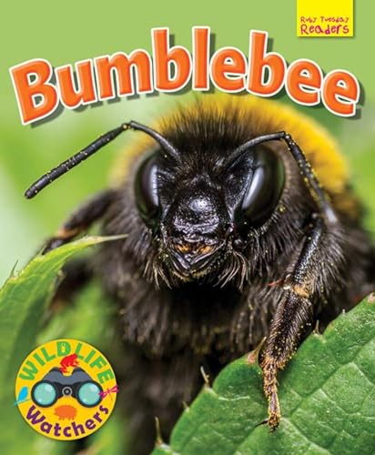 Beispielbild fr Wildlife Watchers: Bumblebee 2017 (Ruby Tuesday Readers) zum Verkauf von WorldofBooks