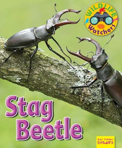 Beispielbild fr Wildlife Watchers: Stag Beetle 2017 (Ruby Tuesday Readers) zum Verkauf von WorldofBooks